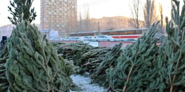 Стал известен полный перечень адресов ёлочных базаров в Самаре