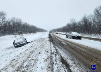 Фото: ГУ МВД РФ по Самарской области