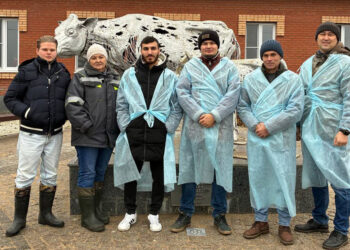 Элитные породы коров самарского хозяйства «Новокуровское» помогут и другим животноводам