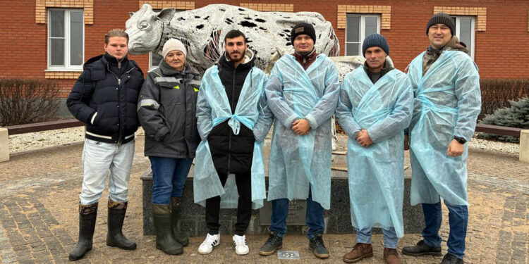 Элитные породы коров самарского хозяйства «Новокуровское» помогут и другим животноводам