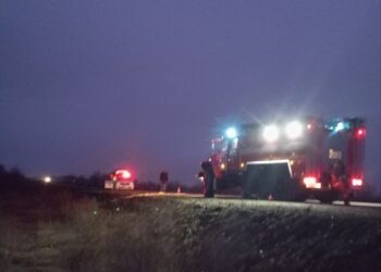 В Самарской области водитель вазовской «девятки» насмерть сбил лося