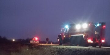 В Самарской области водитель вазовской «девятки» насмерть сбил лося