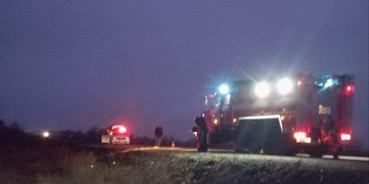 В Самарской области водитель вазовской «девятки» насмерть сбил лося