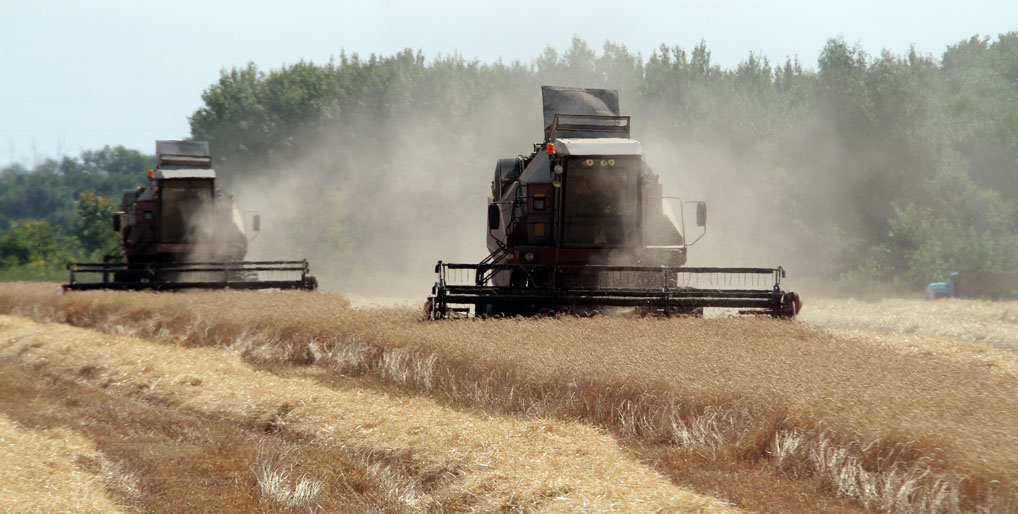 Фото: Игорь Горшков