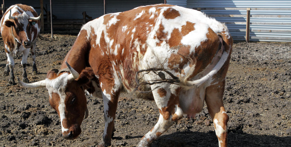 Фото: Игорь Горшков