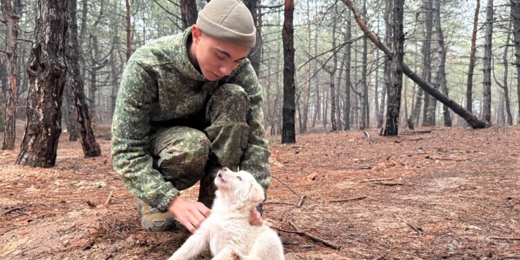 «Китай», фото: Александр Козлов