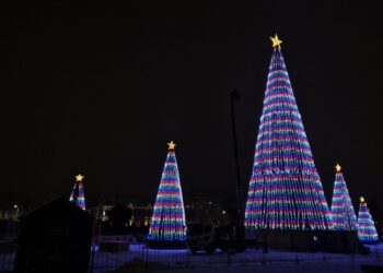 Семь новогодних елок зажглись на главной площади Самары