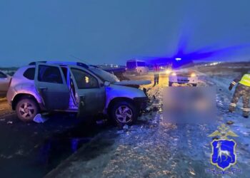 В Самарской области в ДТП погибли водитель и пассажир Renault