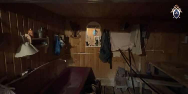 В Самарской области 76-летний пенсионер убил и расчленил своего товарища