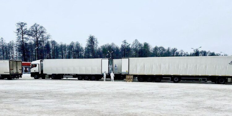 Россия и Украина обменялись телами погибших военных