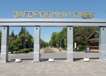 Для управления Загородным парком Самары создадут свой «Контур»