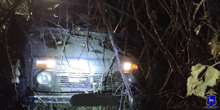 В Самарской области браконьеры жестоко убили двух лосей