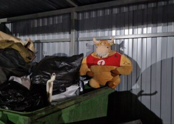 Вывозу мусора в Самарской области мешают припаркованные машины и снежные навалы