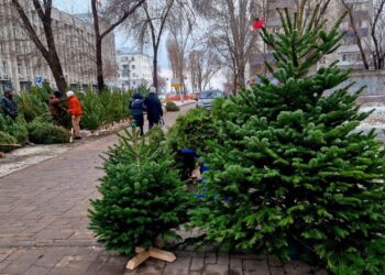 Фото: Александра Русяева