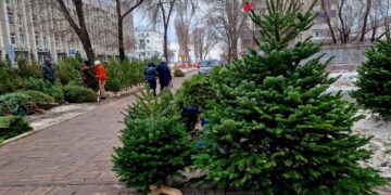 В Самаре мусорный регоператор начал принимать елки лишь по 20 адресам