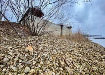 В Самарской области подрядчик не справился со сносом гостиницы на острове Поджабный