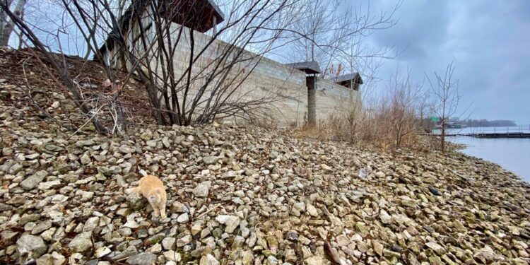 В Самарской области подрядчик не справился со сносом гостиницы на острове Поджабный