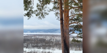 Вандалы сбросили в овраг «парящие» качели над Волгой в Самарской области