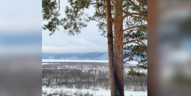 Вандалы сбросили в овраг «парящие» качели над Волгой в Самарской области