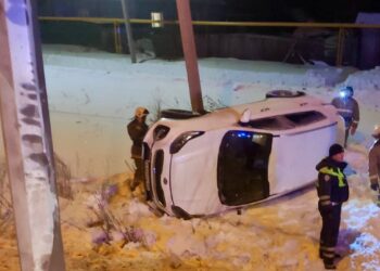 В Самарской области иномарка слетела в кювет: пострадали женщина и ребенок