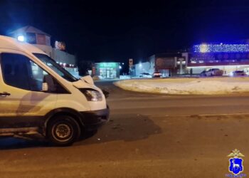 В Самарской области водитель микроавтобуса сбил сразу двух пешеходов