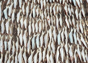 В Роспотребнадзоре проверят информацию о ртути в сушено-вяленой рыбе