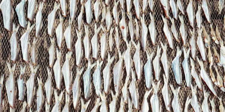 В Роспотребнадзоре проверят информацию о ртути в сушено-вяленой рыбе