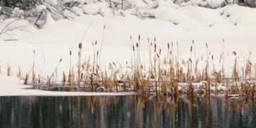 В Самарской области вернули в госсобственность земли в акватории Рождественского пруда