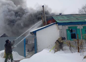 В Исаклинском районе Самарской области огонь унёс жизнь человека