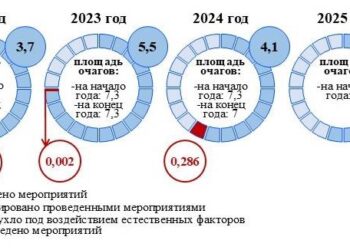 В Самарской области зря потратили 23,4 млн рублей на пилильщика-ткача