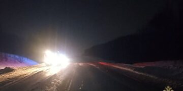 В Самарской области насмерть сбили лося