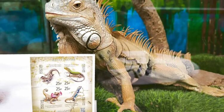В Самаре презентовали серию почтовых марок с изображениями редких ящериц