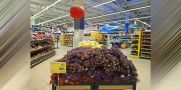 Торговая сеть «Магнит» увеличила поставки в магазины овощей самарских агропроизводителей