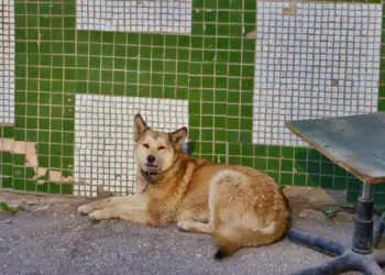 Фото: Марина Ярцева