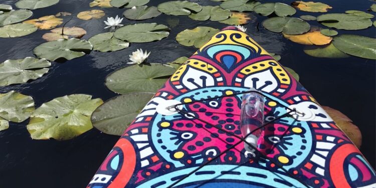 сап борд
Сапборд
Сап