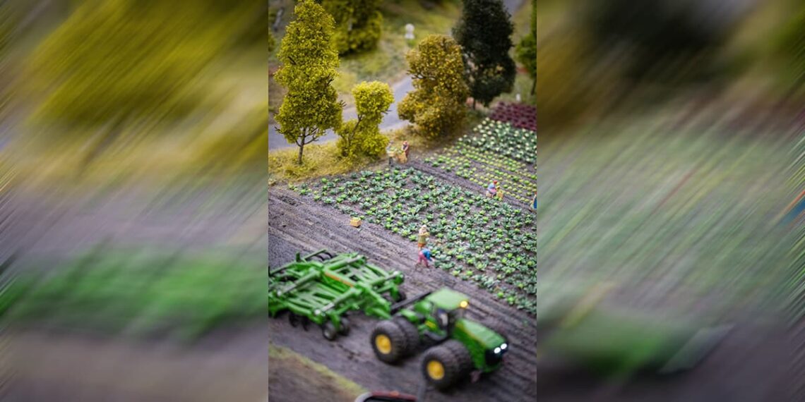 Фото: Ainur Khakimov: unsplash