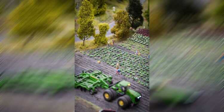 Битва за урожай: как меняется парк сельхозтехники в Самарской области в эпоху импортозамещения