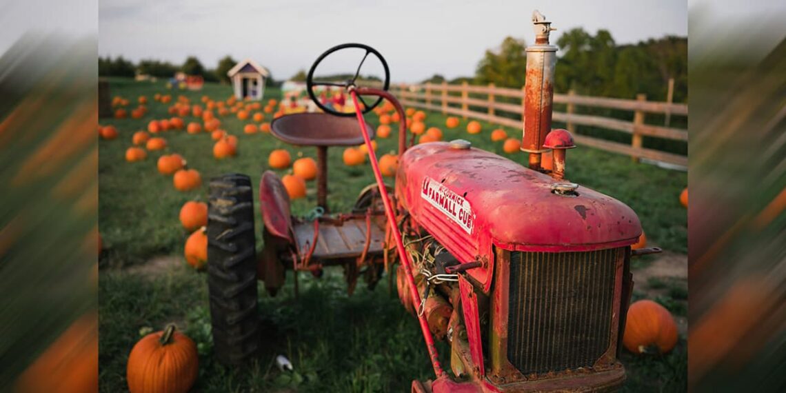 Фото: Brian Wegman: unsplash