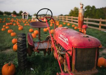 Названы 20 самых прибыльных агрокомпаний Самарской области