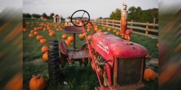 Названы 20 самых прибыльных агрокомпаний Самарской области