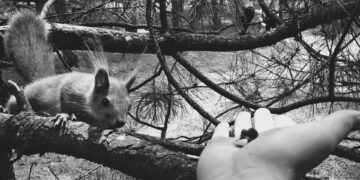 Трупы животных в парке Гагарина напугали впечатлительных самарцев