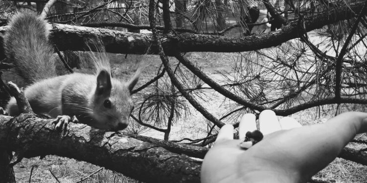 Фото: Vlad Panov: Unsplash