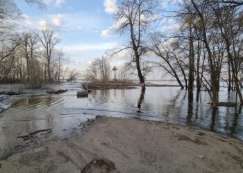 В Самарской области из-за паводка подтопило два дачных участка