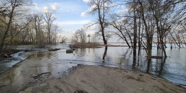 В Самарской области из-за паводка подтопило два дачных участка