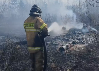 В Самарской области из-за атаки беспилотников ВСУ 18 апреля возник лесной пожар