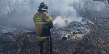 В Самарской области из-за атаки беспилотников ВСУ 18 апреля возник лесной пожар