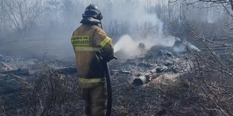 В Самарской области из-за атаки беспилотников ВСУ 18 апреля возник лесной пожар