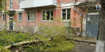 В Самаре 27 апреля упавшее во время непогоды дерево убило мужчину, возбуждено дело