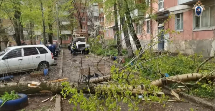 В Самаре 27 апреля упавшее во время непогоды дерево убило мужчину, возбуждено дело