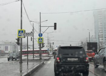 Фото: Алексей Петренко